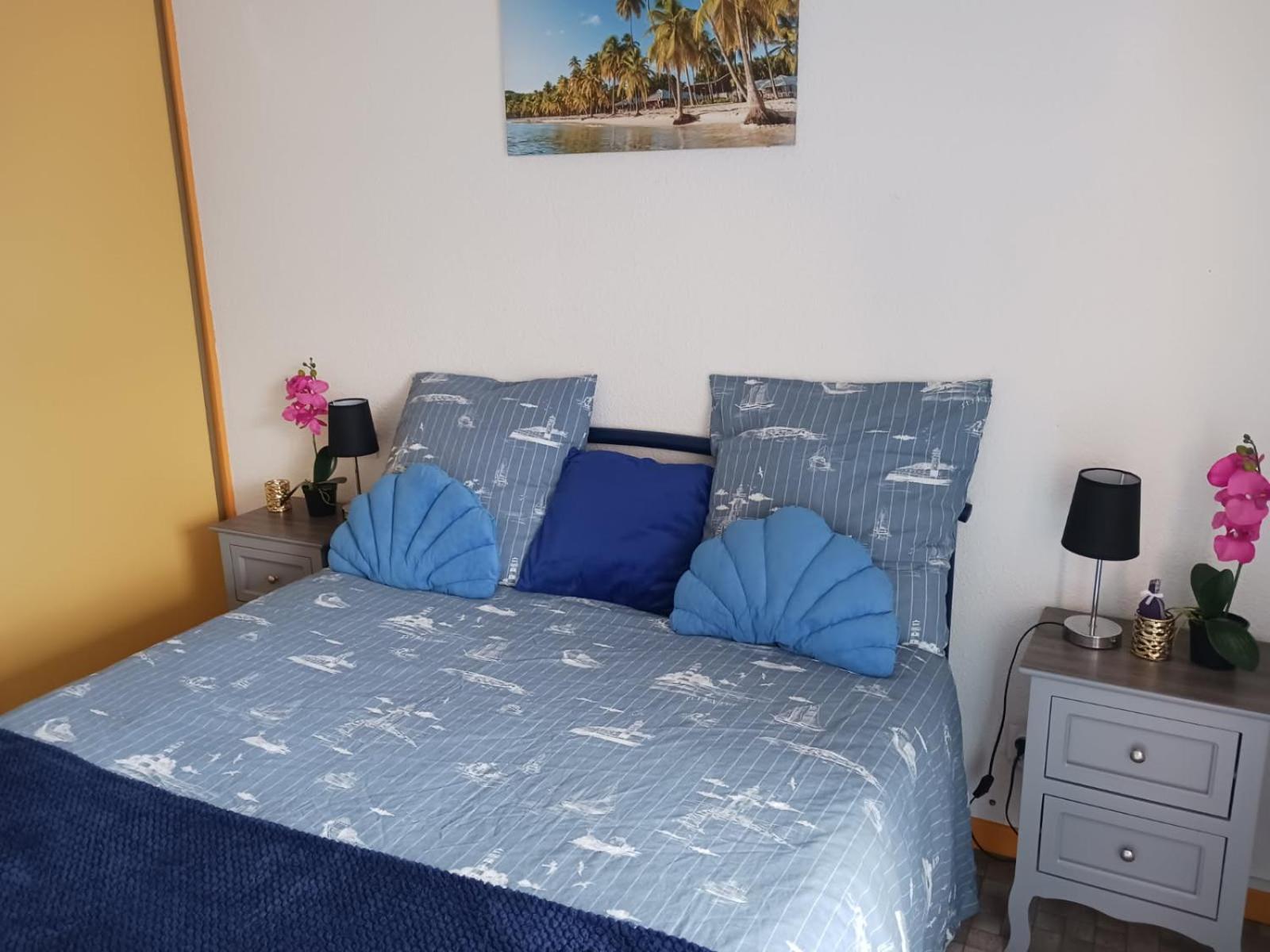 Appartement T2 Vue Mer Et Port,2 Balcons, Parking Prive Canet-en-Roussillon Esterno foto